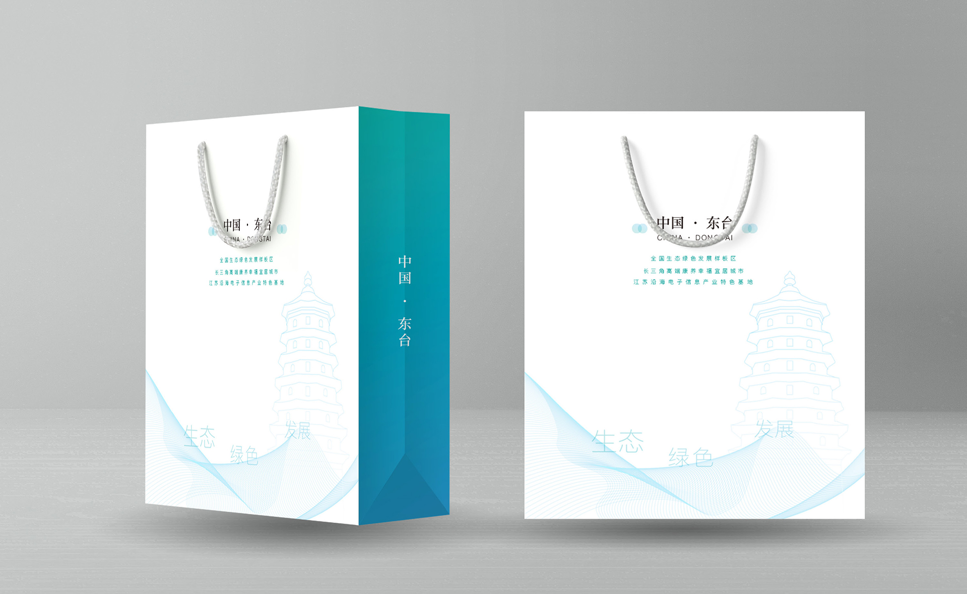 东台文旅会议用纸质包装袋